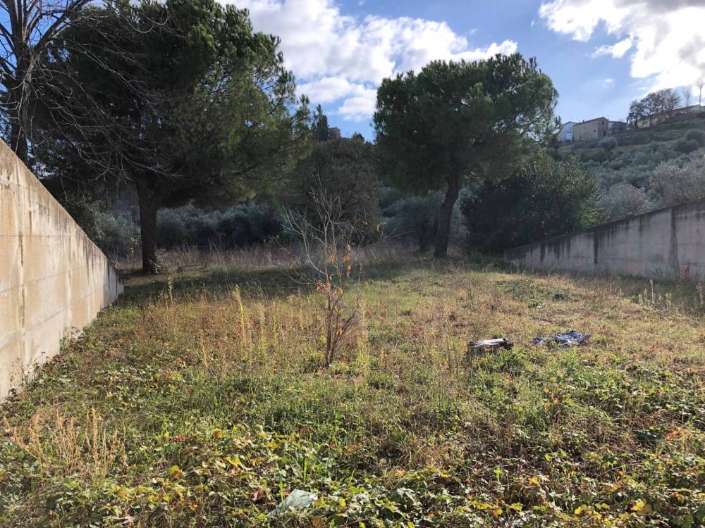 immagine annuncio 6 di 9