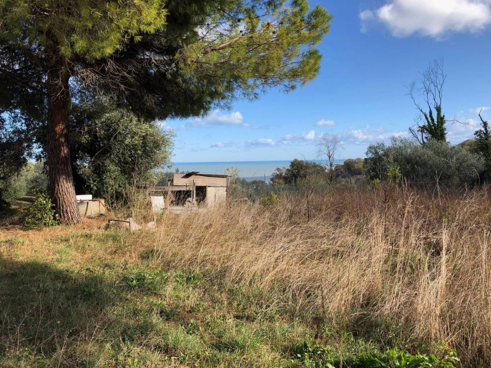 immagine annuncio 7 di 9