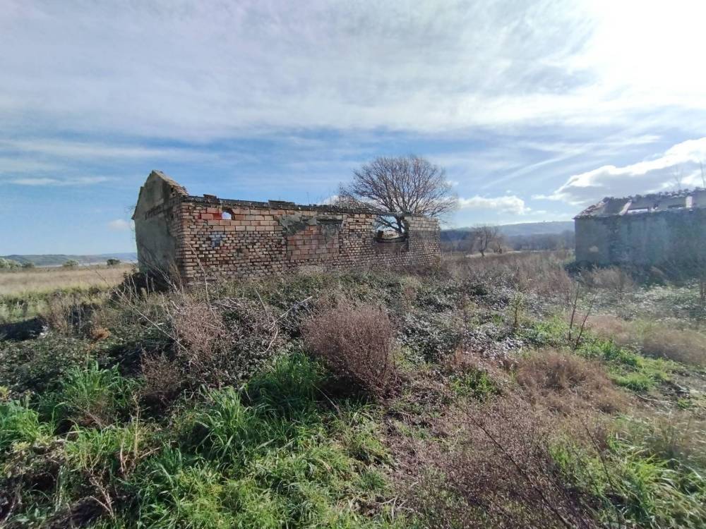 immagine annuncio 5 di 13