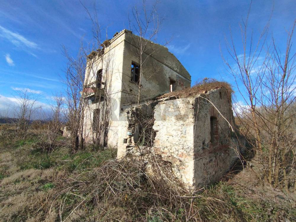 immagine annuncio 10 di 13