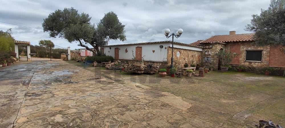 immagine annuncio 2 di 13