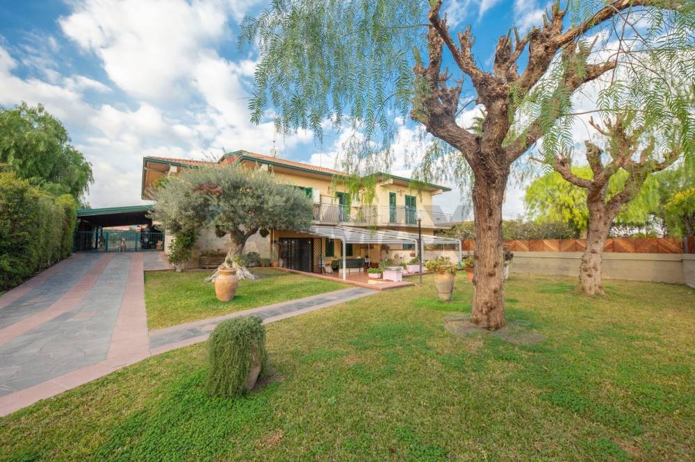 immagine annuncio 1 di 14