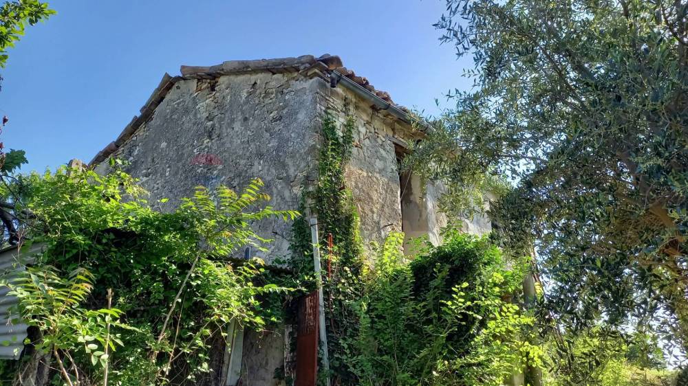 immagine annuncio 10 di 13