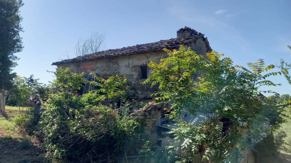 immagine annuncio 11 di 13