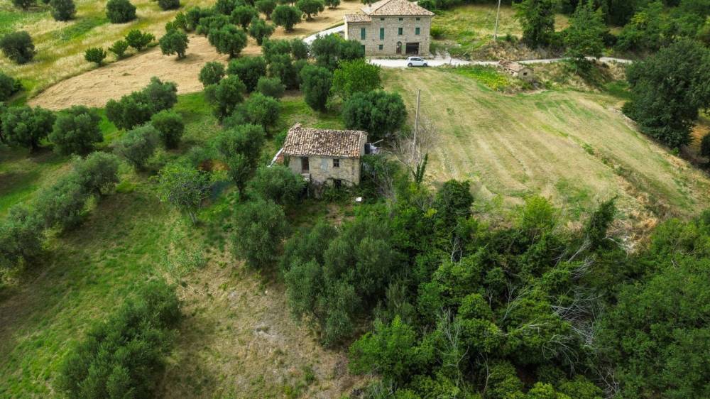 immagine annuncio 4 di 13