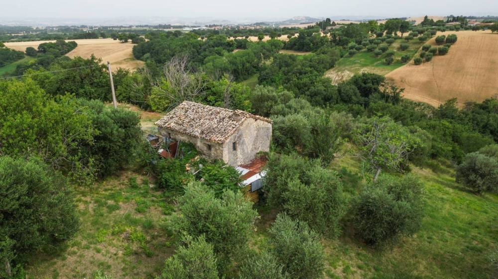 immagine annuncio 6 di 13