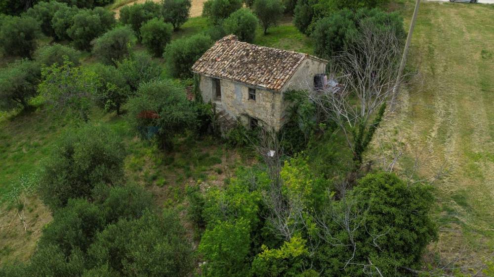 immagine annuncio 3 di 13