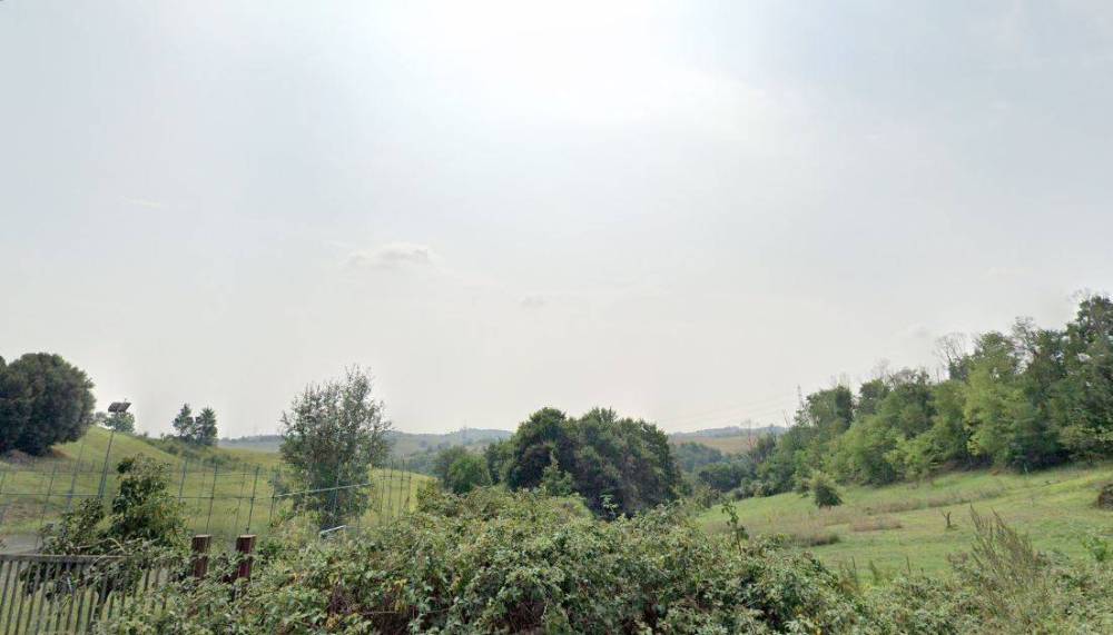 immagine annuncio 2 di 8