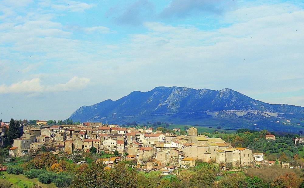 immagine annuncio 7 di 8