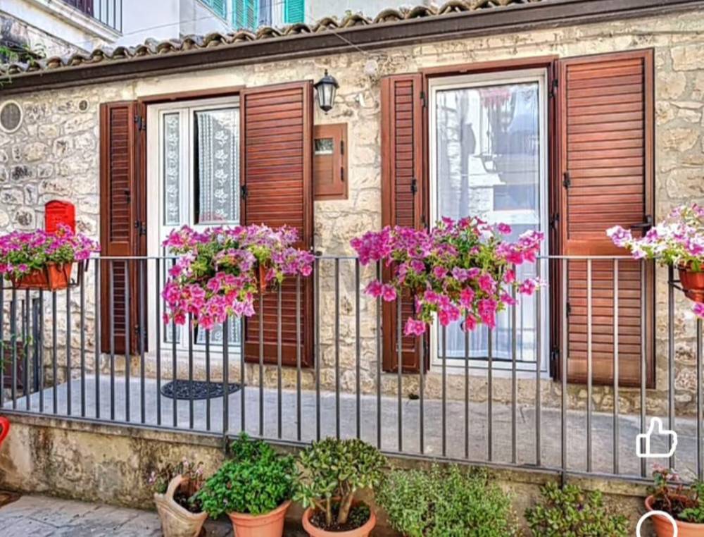 immagine annuncio 3 di 13