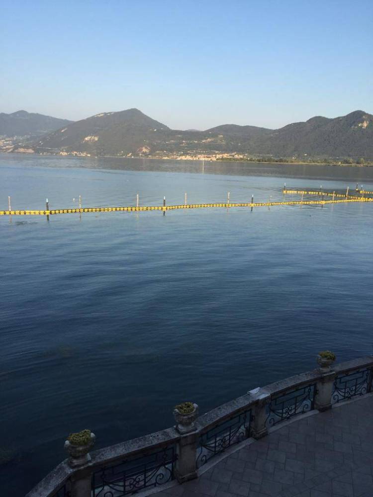 immagine annuncio 7 di 8