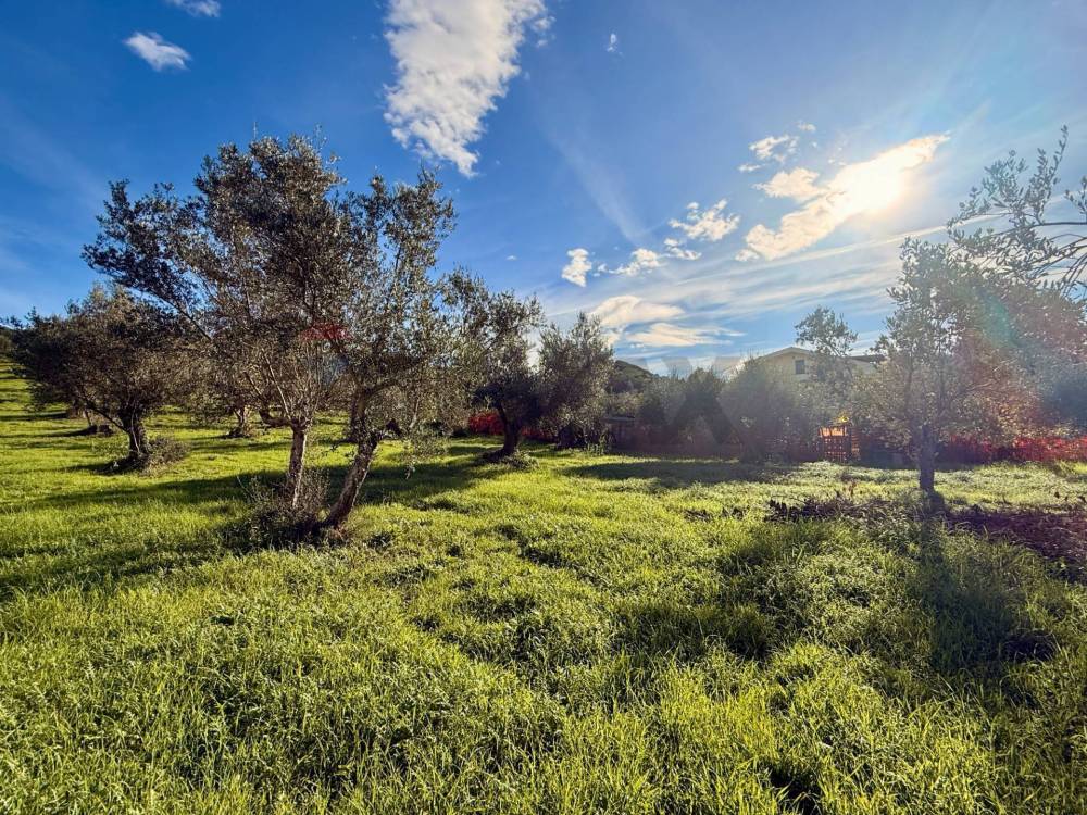 immagine annuncio 0 di 9