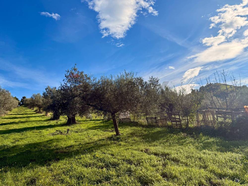 immagine annuncio 3 di 9