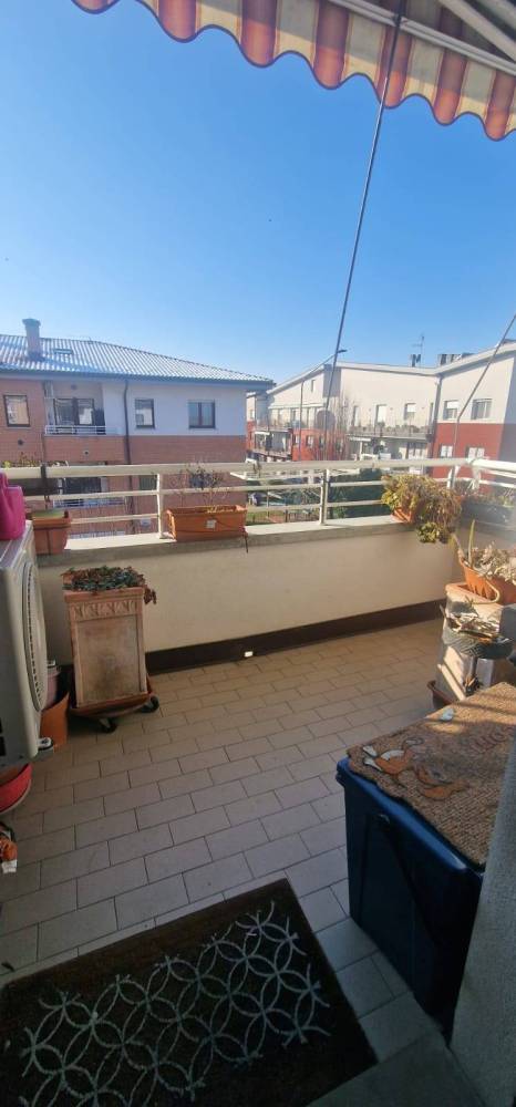 immagine annuncio 5 di 12