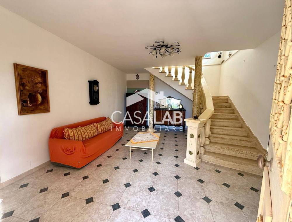 immagine annuncio 3 di 13