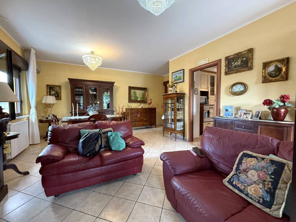 immagine annuncio 1 di 13