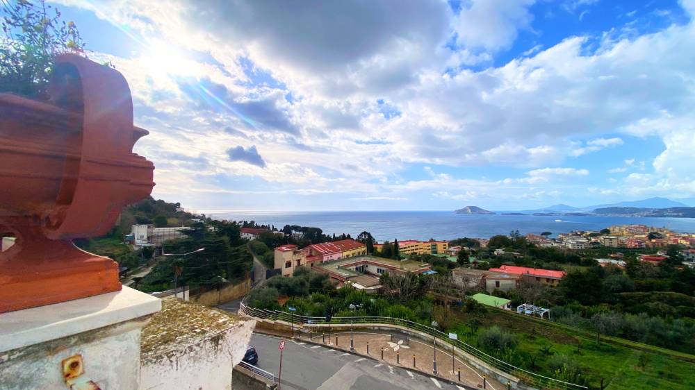 immagine annuncio 4 di 13