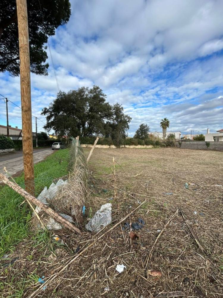 immagine annuncio 3 di 11