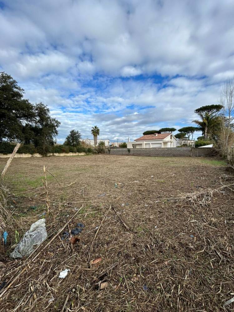 immagine annuncio 4 di 11