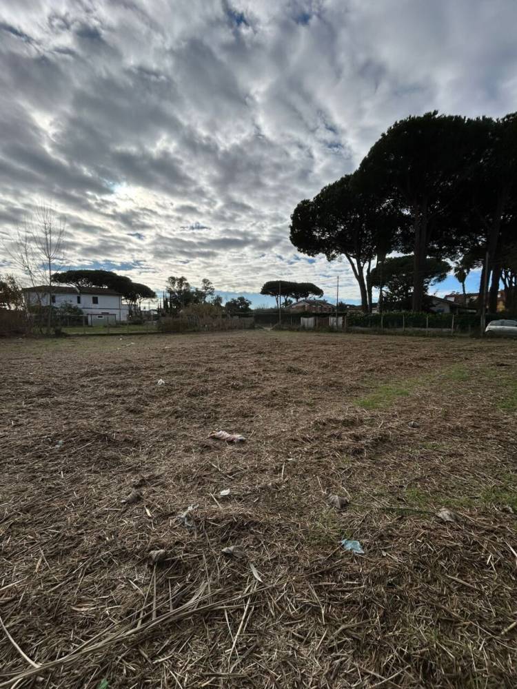 immagine annuncio 7 di 11