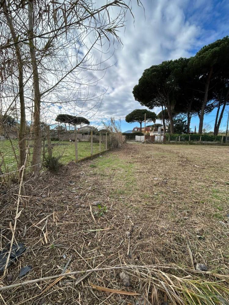 immagine annuncio 8 di 11