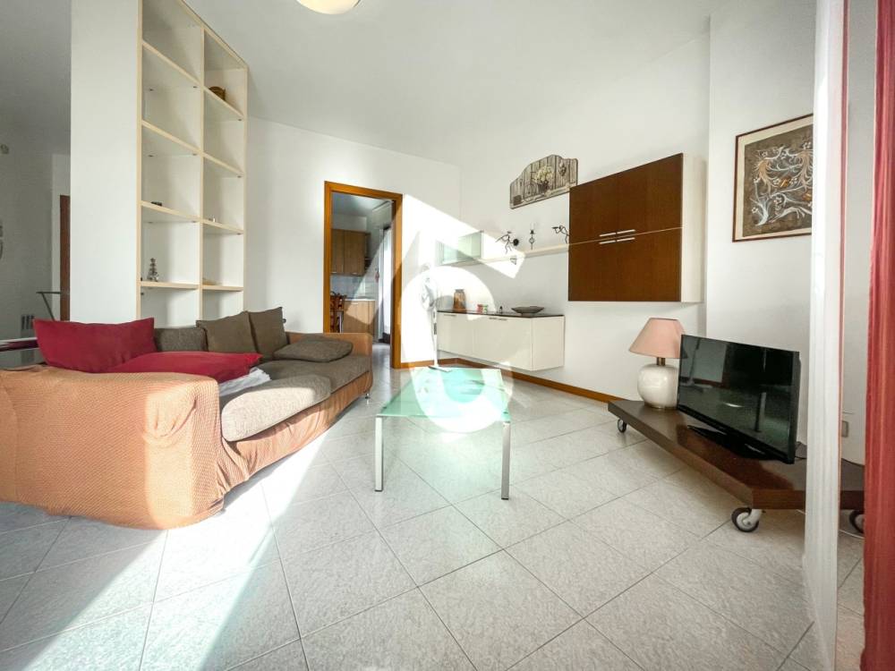 immagine annuncio 6 di 13