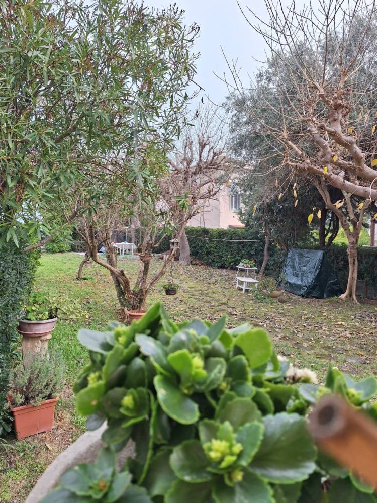 immagine annuncio 5 di 13