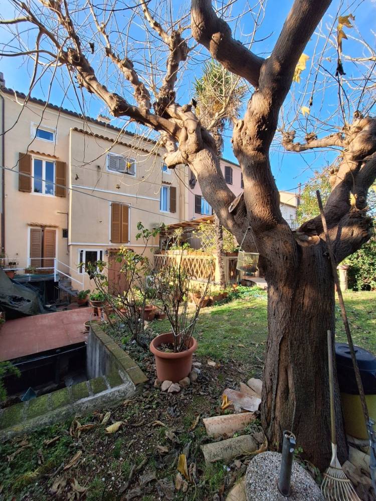 immagine annuncio 1 di 13