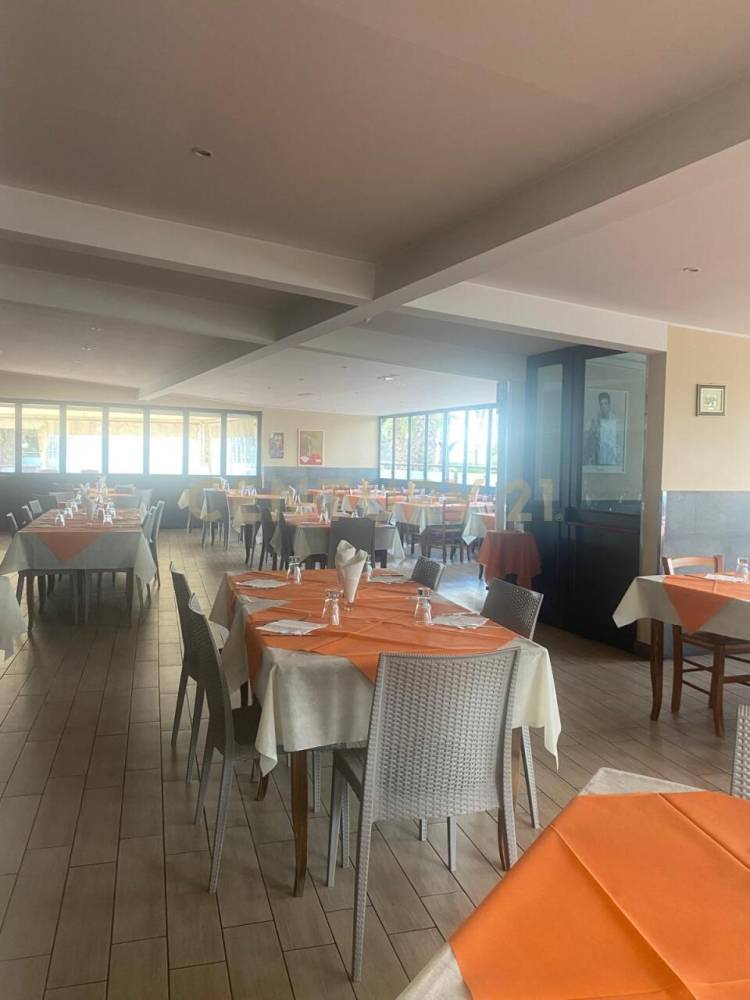 immagine annuncio 9 di 13