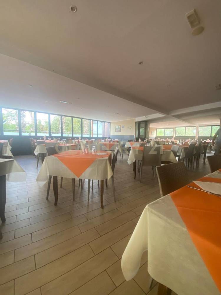 immagine annuncio 11 di 13