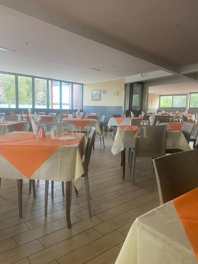 immagine annuncio 12 di 13