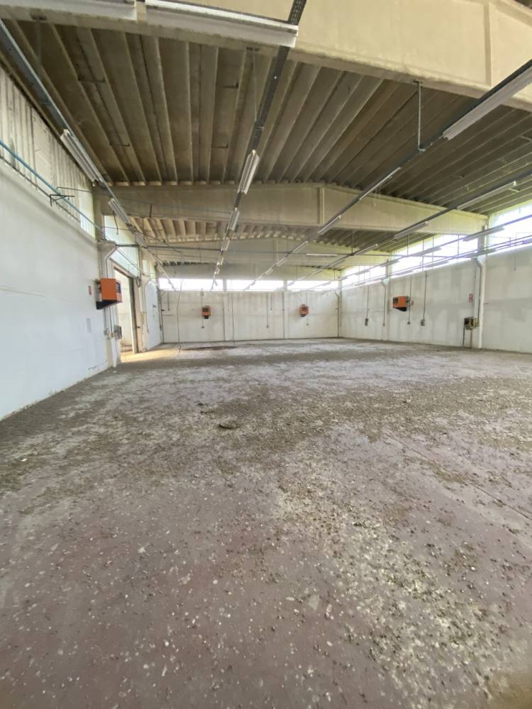 immagine annuncio 9 di 13