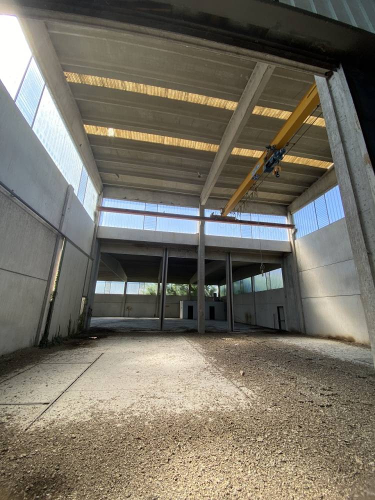 immagine annuncio 10 di 13