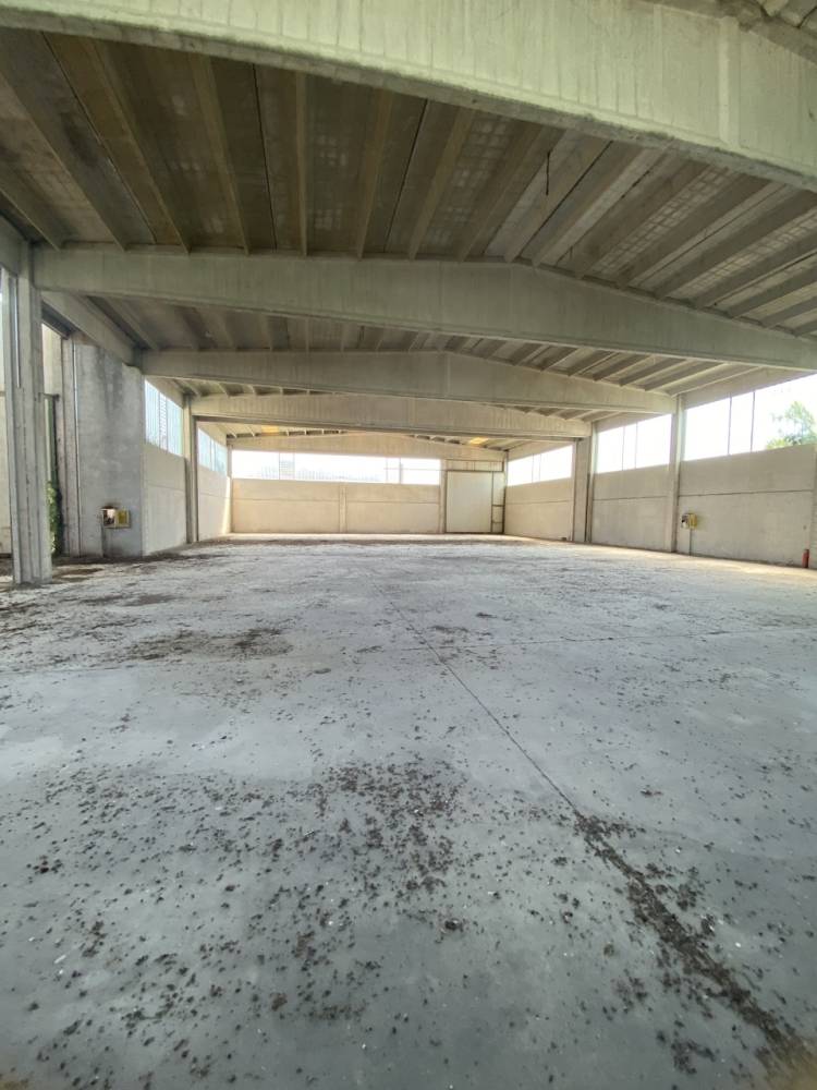 immagine annuncio 8 di 13