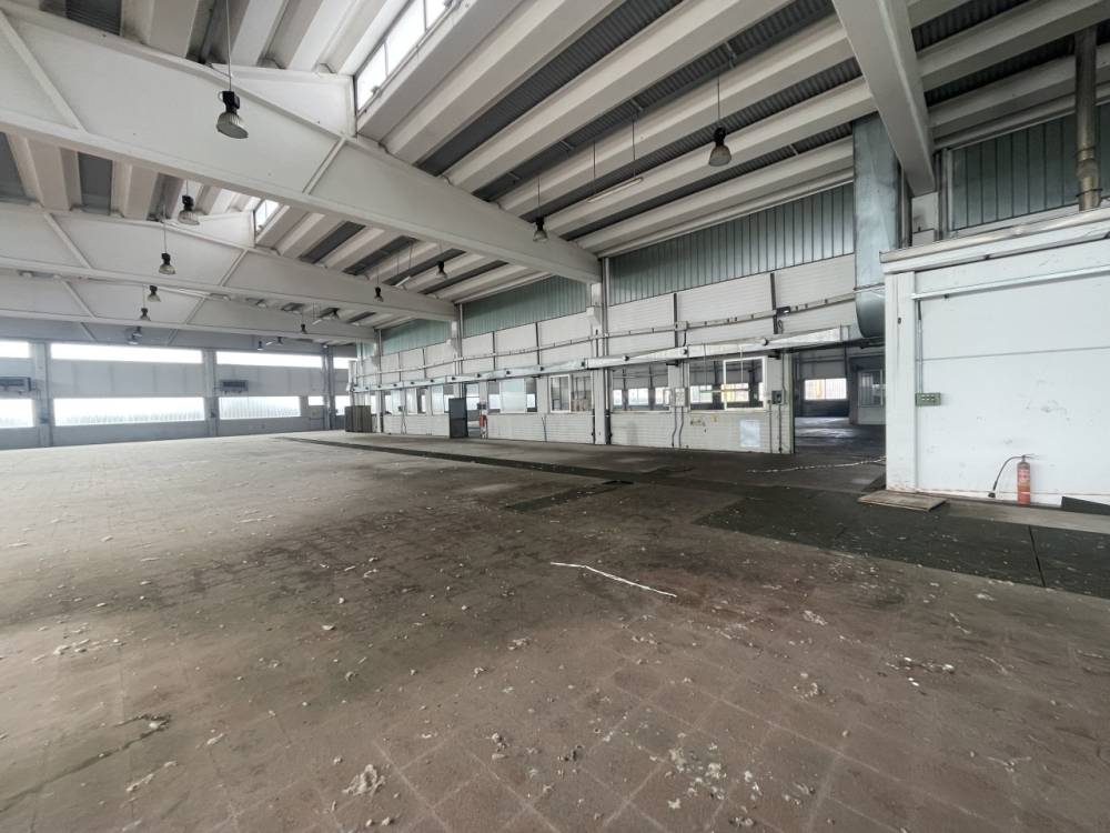 immagine annuncio 6 di 13