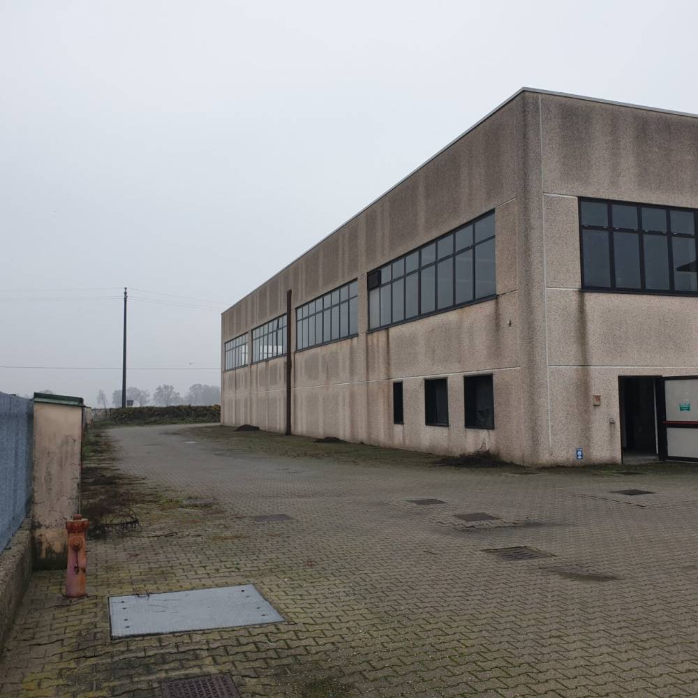 immagine annuncio 3 di 13