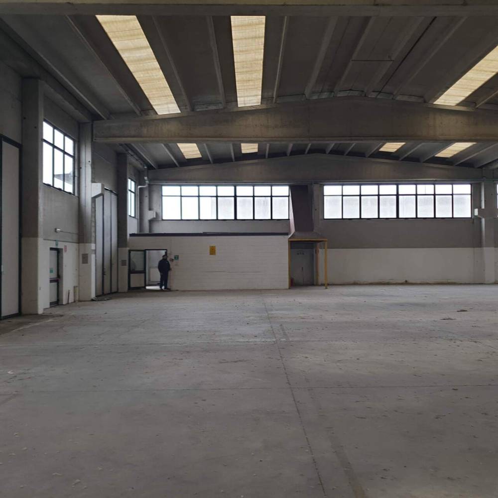 immagine annuncio 9 di 13