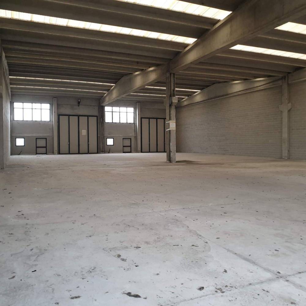 immagine annuncio 12 di 13