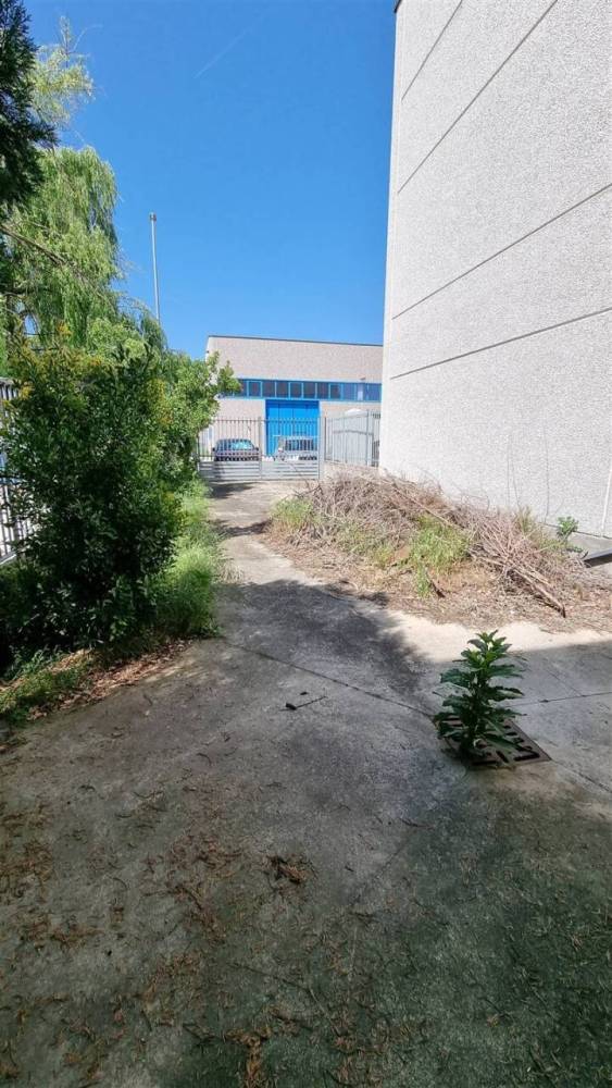 immagine annuncio 12 di 13