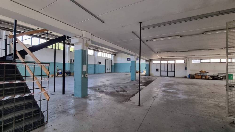 immagine annuncio 3 di 13