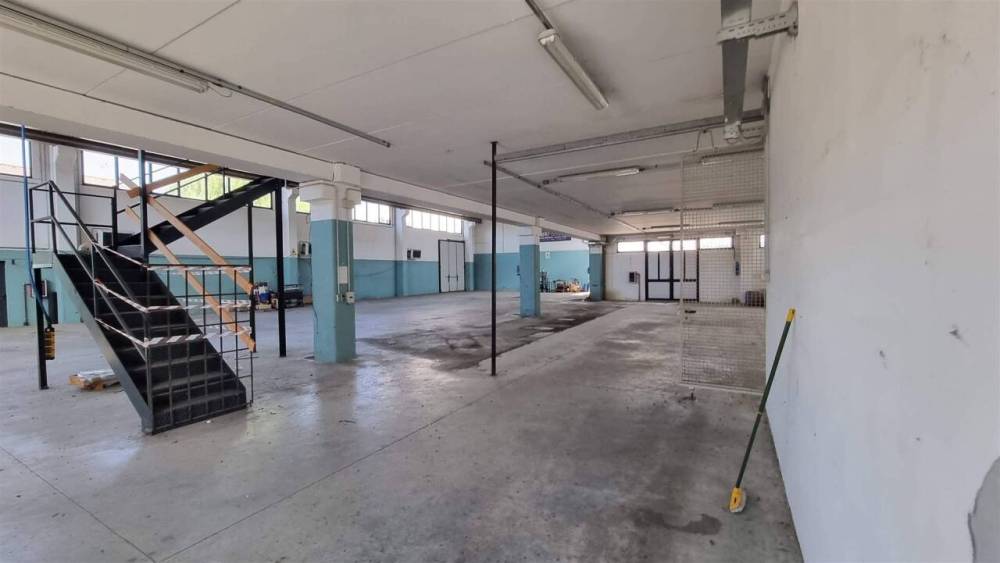 immagine annuncio 1 di 13