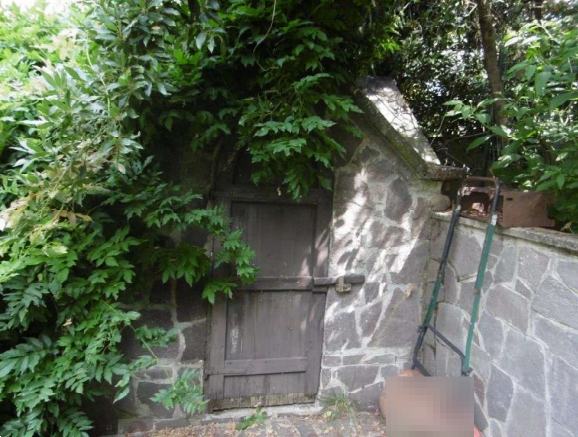 immagine annuncio 10 di 13