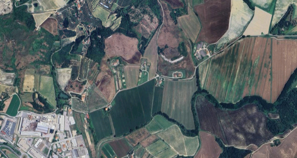 immagine annuncio 1 di 13