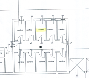 immagine annuncio 11 di 13