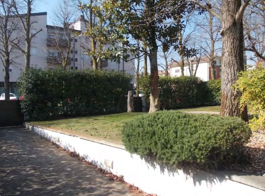 immagine annuncio 2 di 13