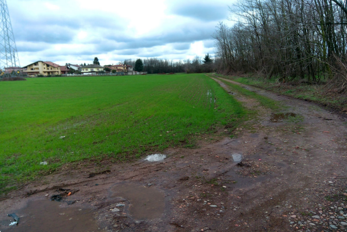 immagine annuncio 4 di 13