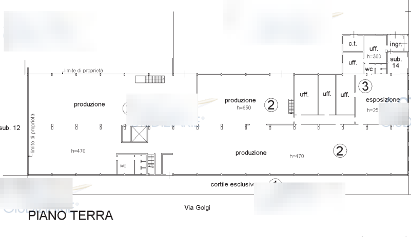 immagine annuncio 12 di 13