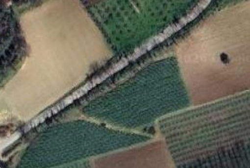 immagine annuncio 8 di 11