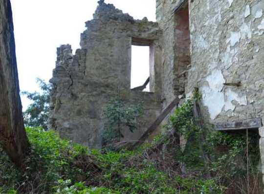 immagine annuncio 3 di 13