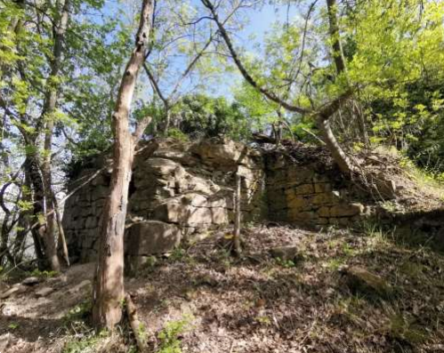 immagine annuncio 4 di 13